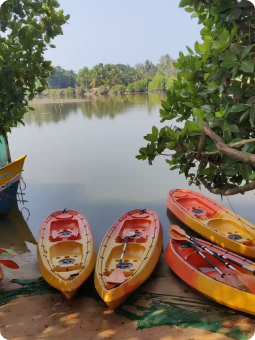 Experiences Image will be here